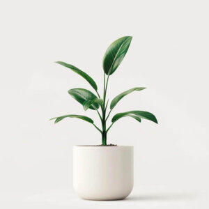product 04